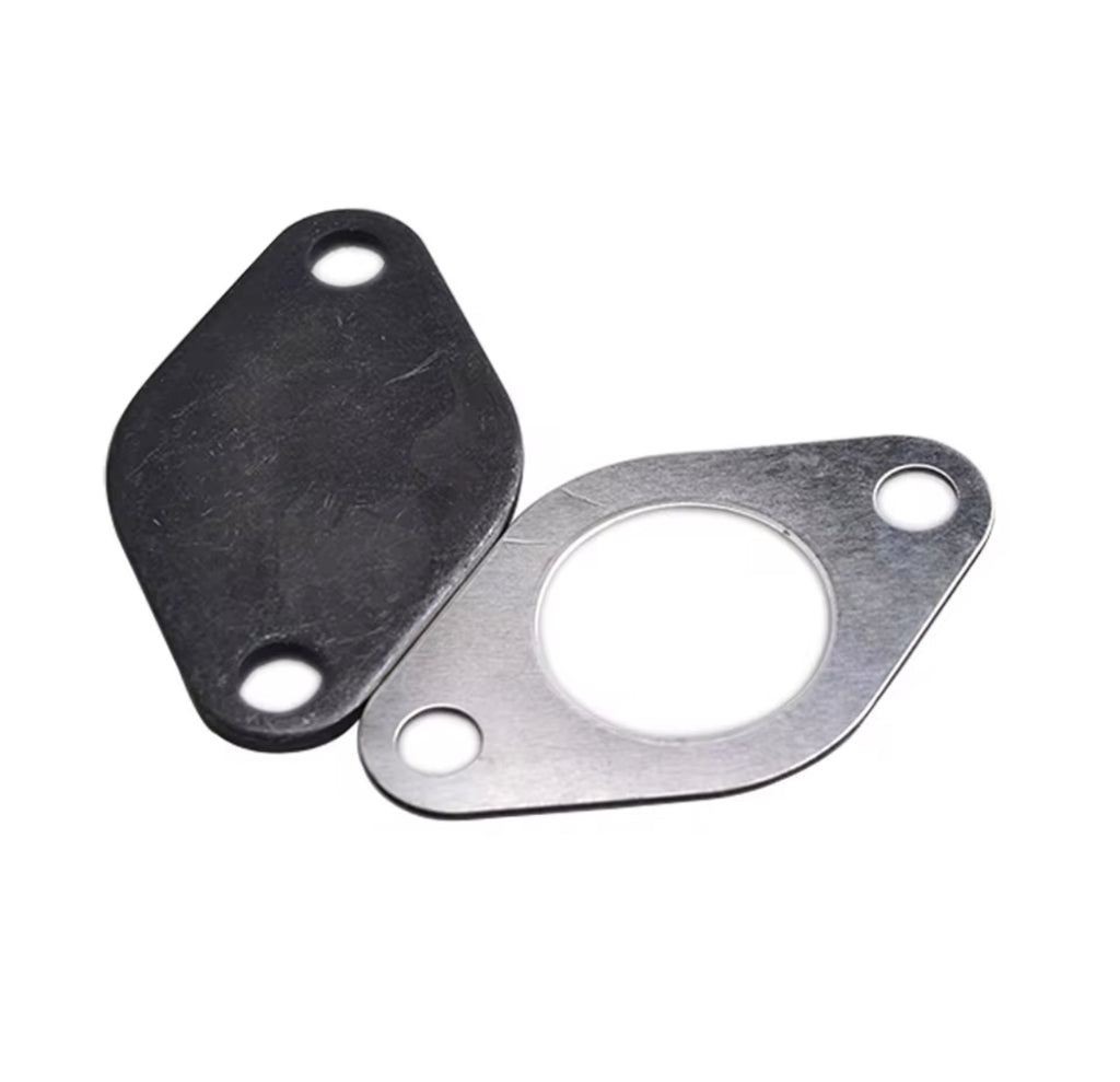 EGR BLANKING PLATE